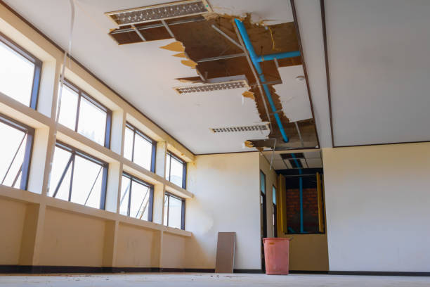 Best Sewage cleanup and water damage restoration  in Roselle, IL