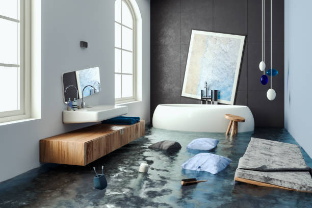 Best Water damage restoration near me  in Roselle, IL