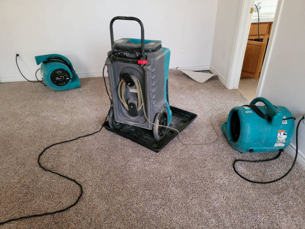 Best 24-hour water damage restoration  in Roselle, IL
