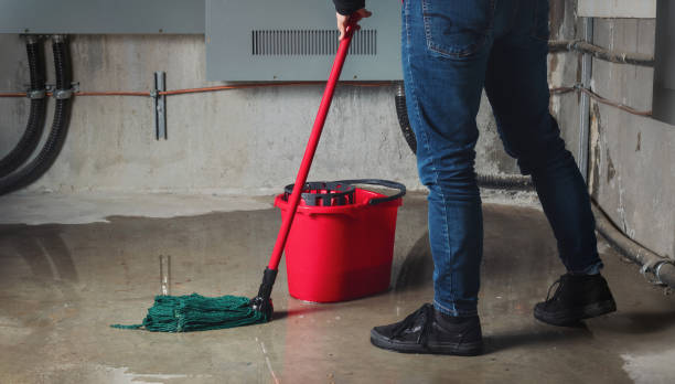Best Carpet water damage restoration  in Roselle, IL