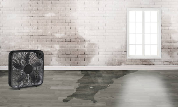Trusted IL Water damage restoration Experts