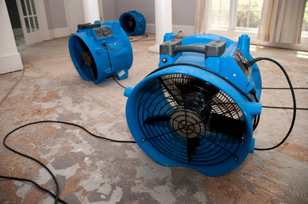  Roselle, IL Water damage restoration Pros