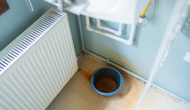 Best Water damage contractors near me  in Roselle, IL