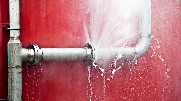 Best Commercial water damage restoration  in Roselle, IL